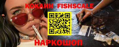дмт Кингисепп