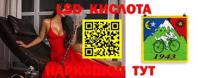 дмт Кингисепп