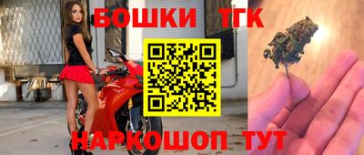 дмт Кингисепп