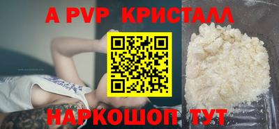 дмт Кингисепп