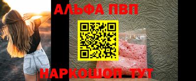 дмт Кингисепп