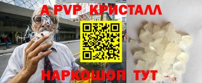 дмт Кингисепп
