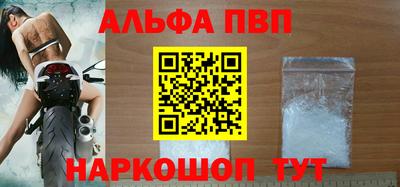 дмт Кингисепп