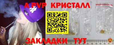 дмт Кингисепп