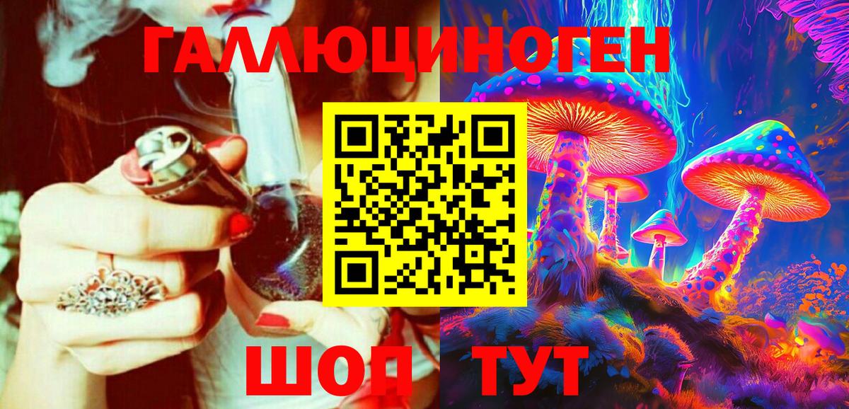 Псилоцибиновые грибы Psilocybine cubensis Арзамас