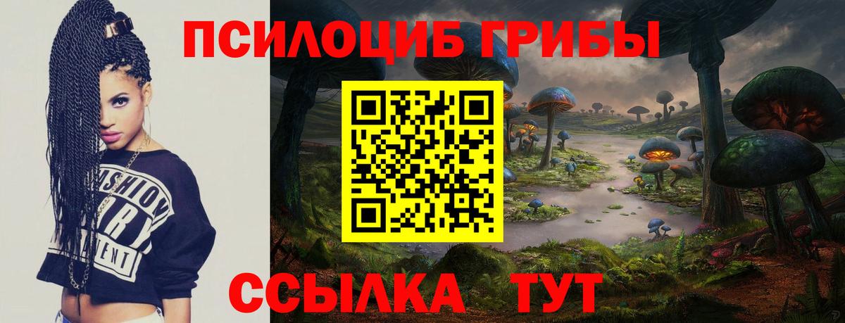 Галлюциногенные грибы ЛСД  что такое   Арзамас  Вход с VPN 